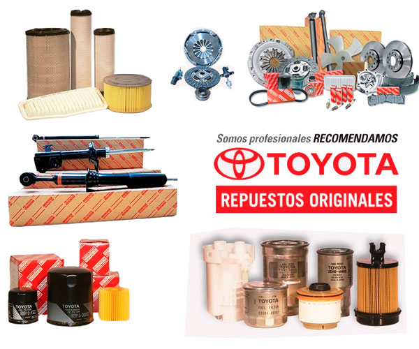 Venta de Accesorios y Repuestos en General